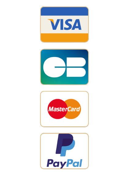 Cette image représente les mode de paiements que nous acceptons : Carte bleue, visa, mastercard, paypal