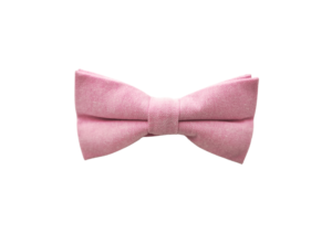 noeud papillon rose parme