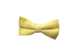 Noeud papillon coton jaune