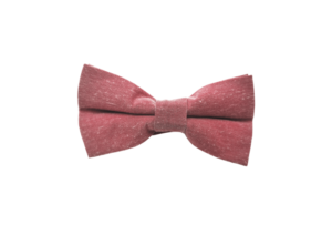 Noeud coton bordeaux clair