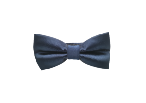 Noeud papillon satin bleu