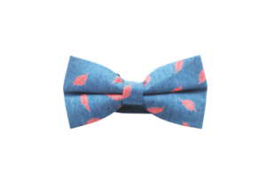 Noeud bleu motifs plumes
